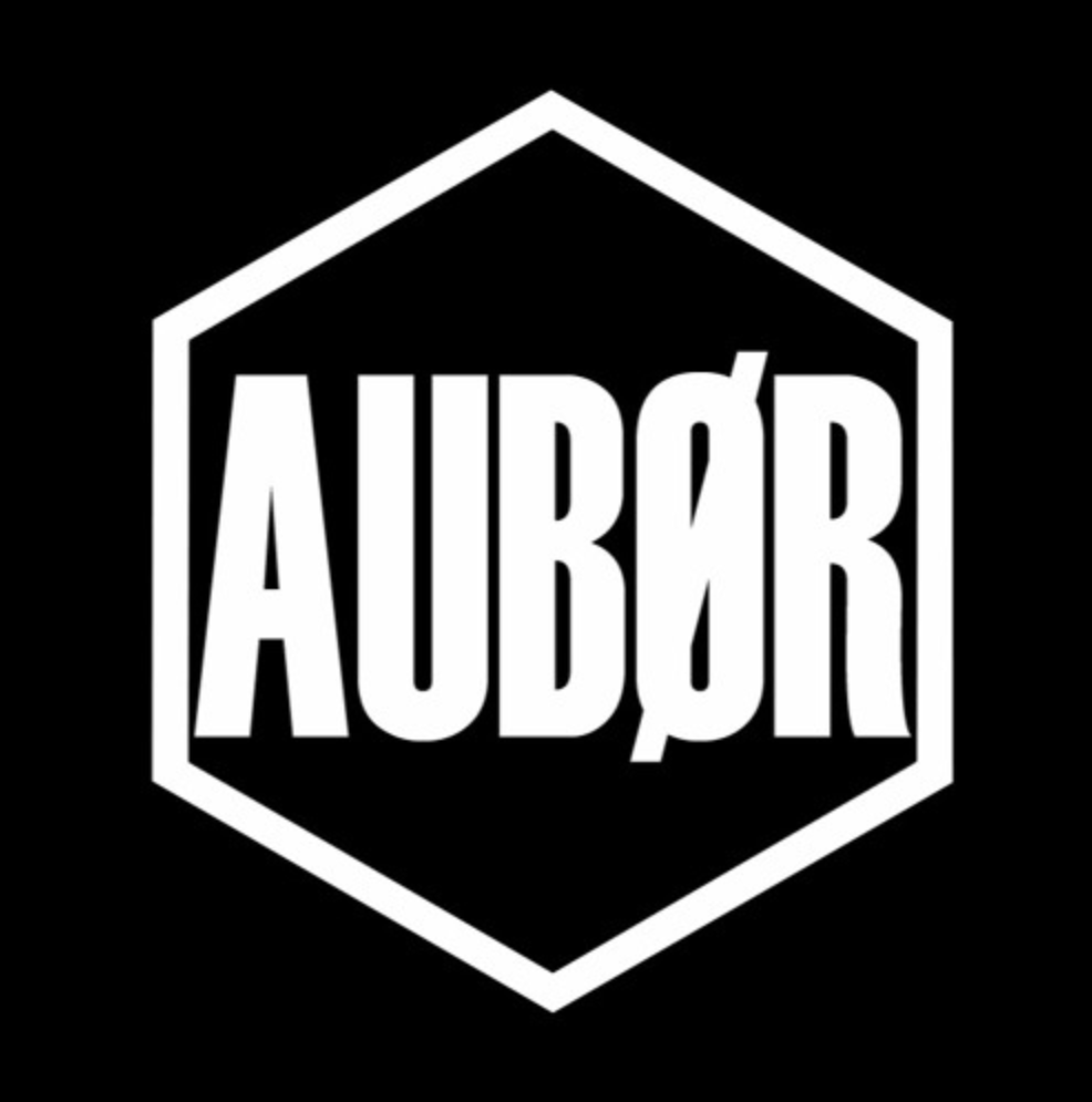 WINTER FESTIVAL ONLINE 2021 dj aubor